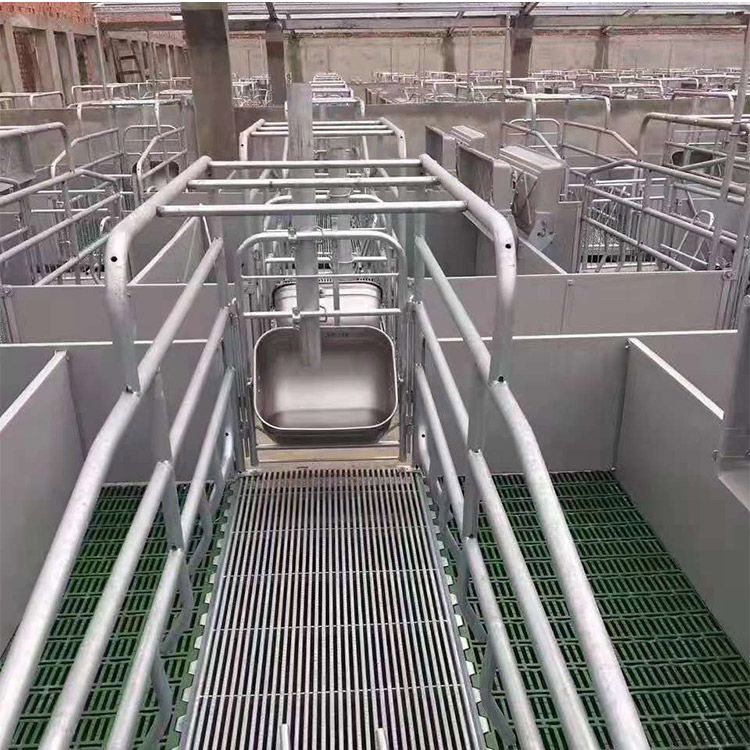 生产出售 养猪设备 养殖场母猪产床 单体全复合产床 欢迎咨询
