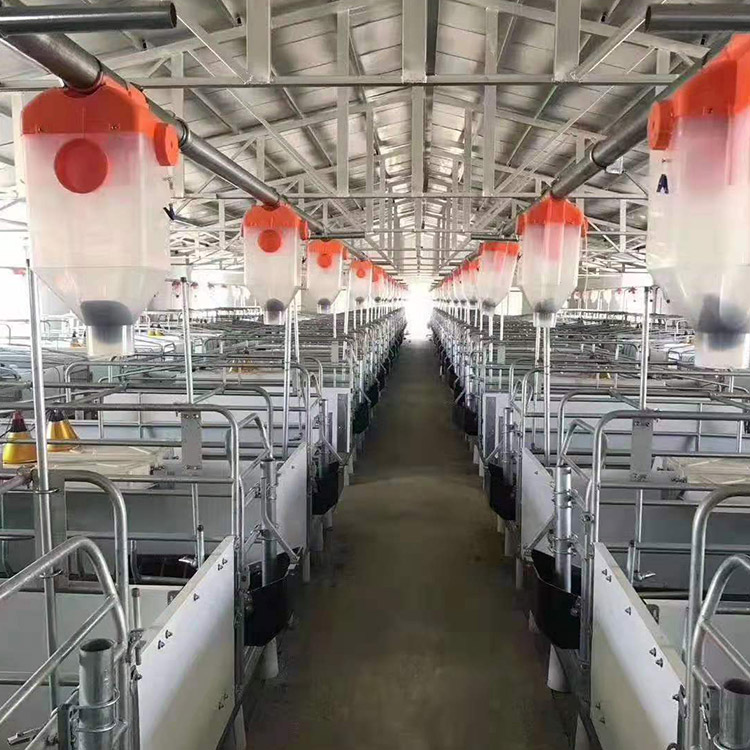 加工养猪料线 猪场自动喂料系统 养猪自动喂料价格