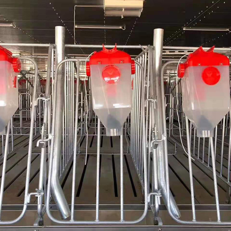 生产出售 自动喂料线 养猪料线 猪场料线