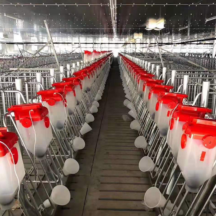 金福临 母猪料线 加工自动化料线 自动喂料系统 按需供应支持定制