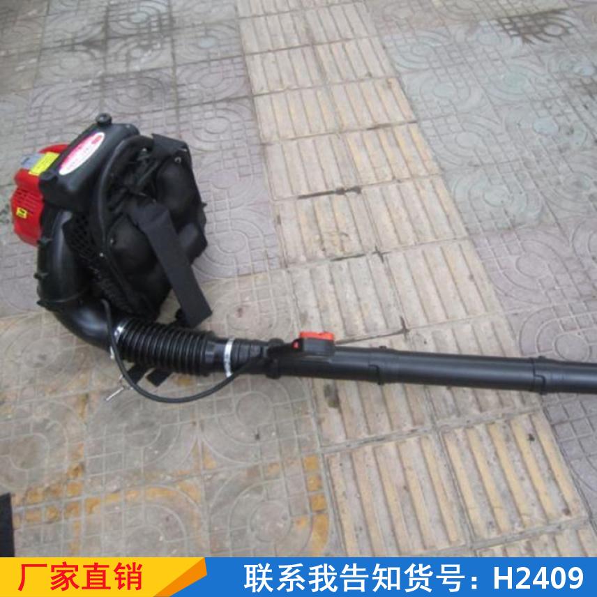 宏胜风力吹雪机 吹菜吹落叶灭火机 四冲程森林吹风机货号H2409