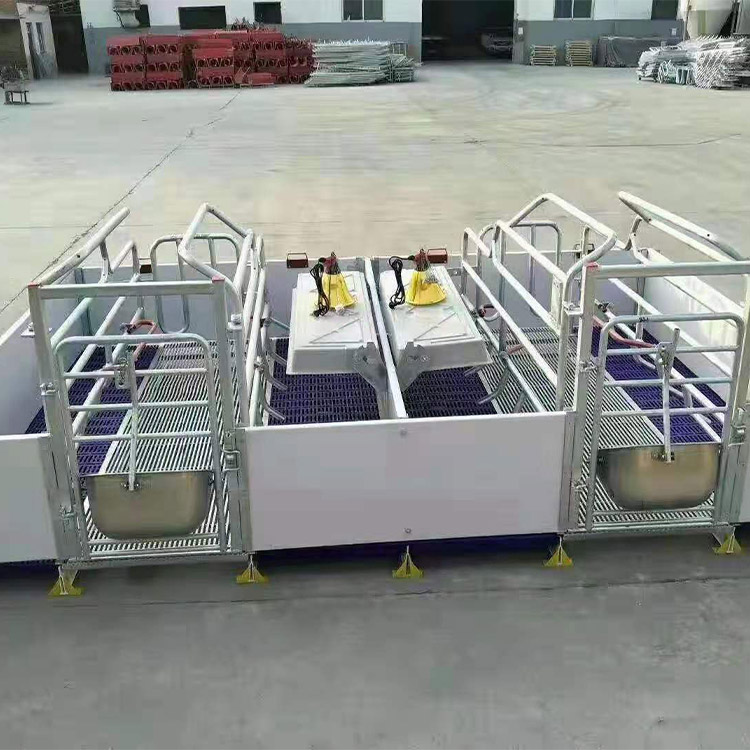 欧式产床加工 母猪产床 母猪欧式分娩床 厂家销售