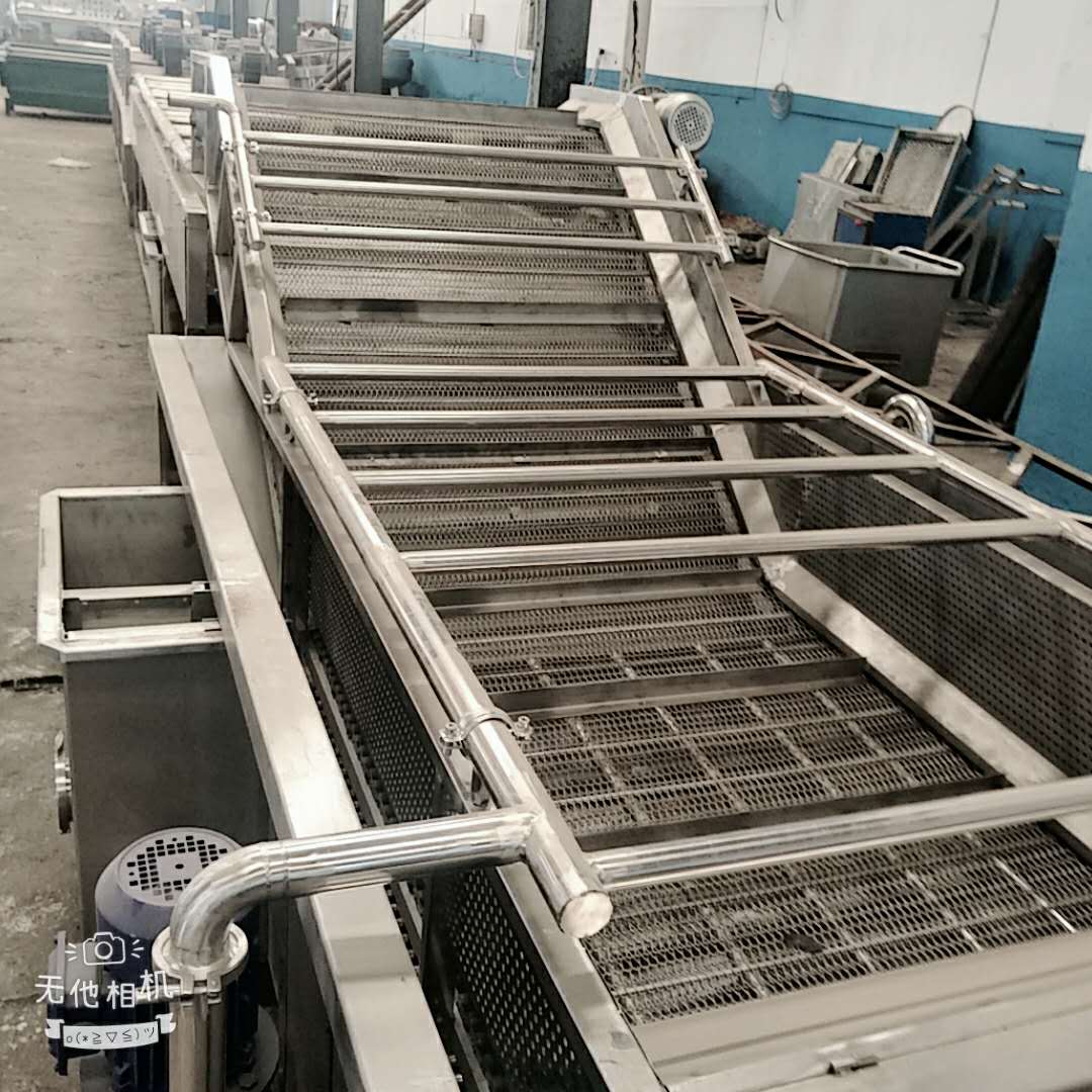 白菜气泡清洗设备  多功能臭氧清洗机  强力喷淋净菜加工设备