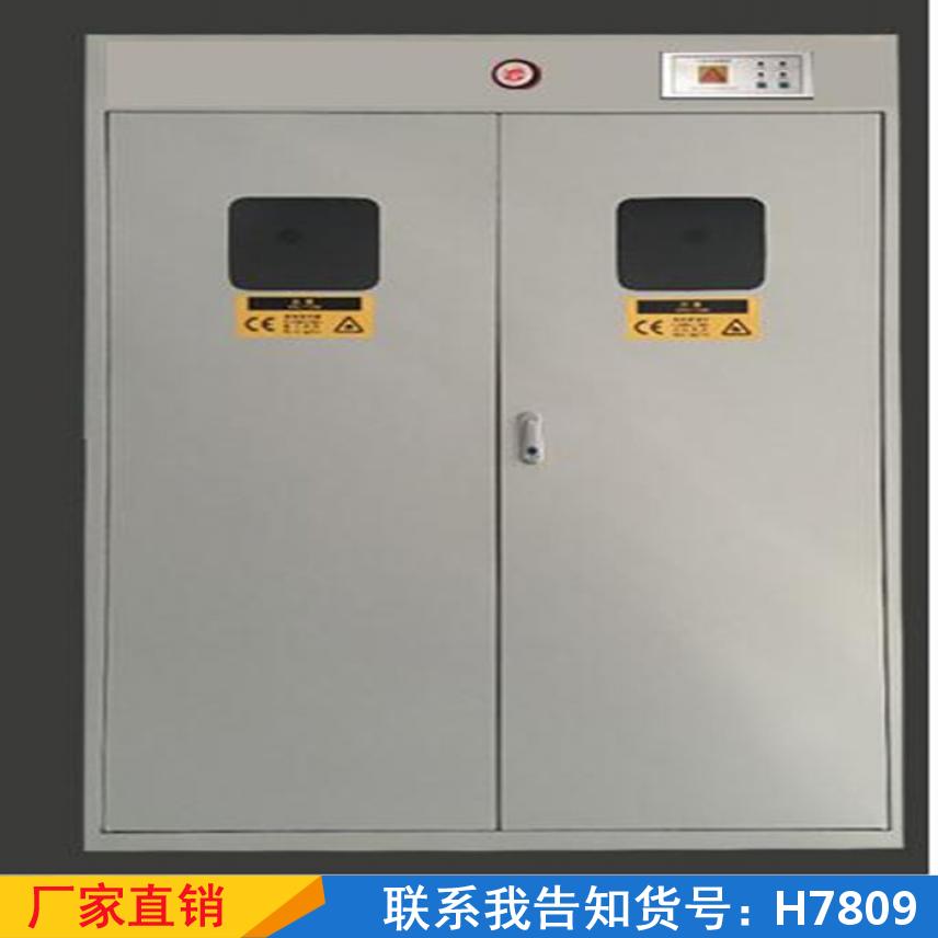 宏胜安全乙炔气瓶柜 全钢防爆安全柜 双瓶工业防爆柜货号H7809