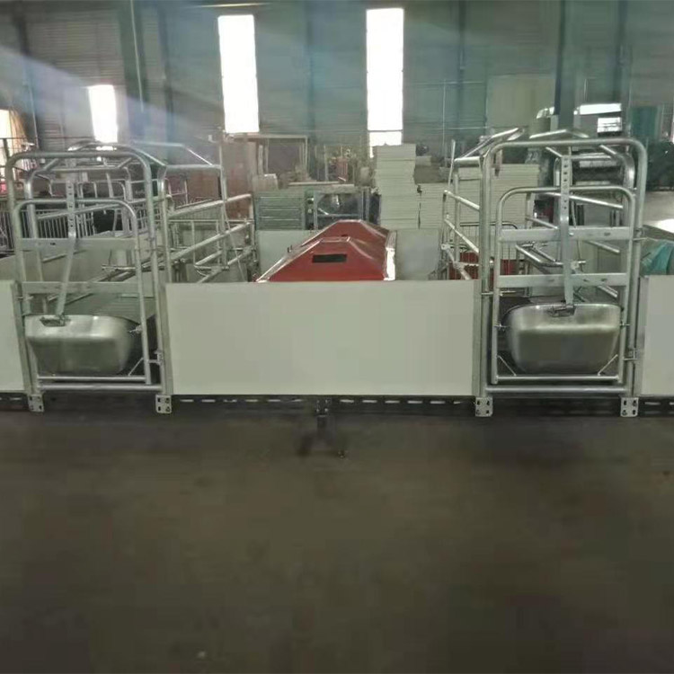 母猪欧式分娩床 加工铸铁母猪产床 产保一体产床 厂家出售