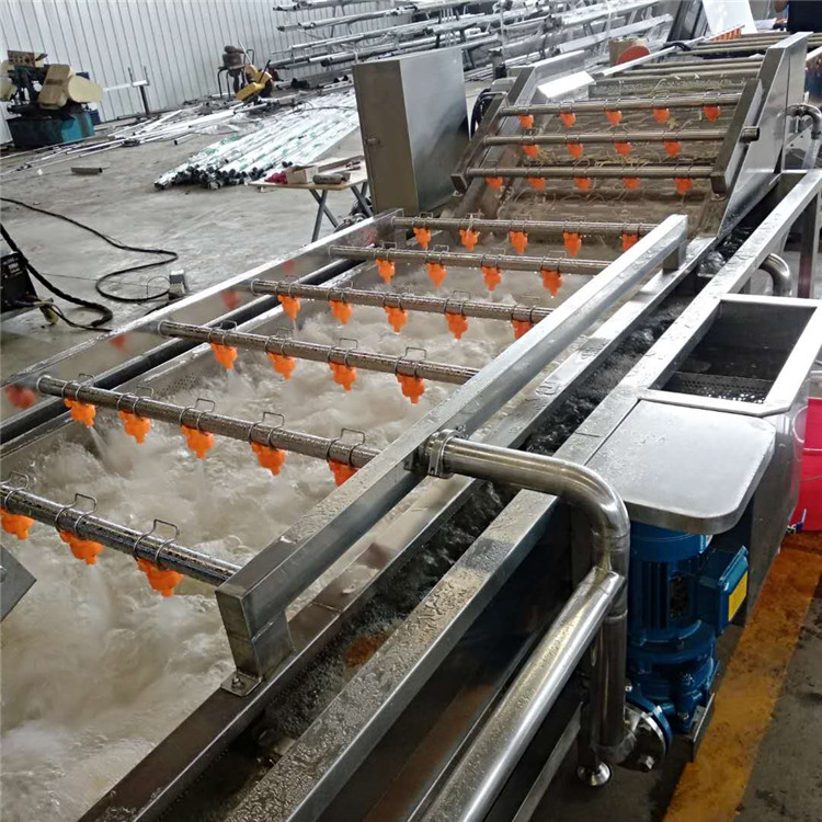 商用洗菇机 高压气泡清洗设备 菌类清洗流水线图片