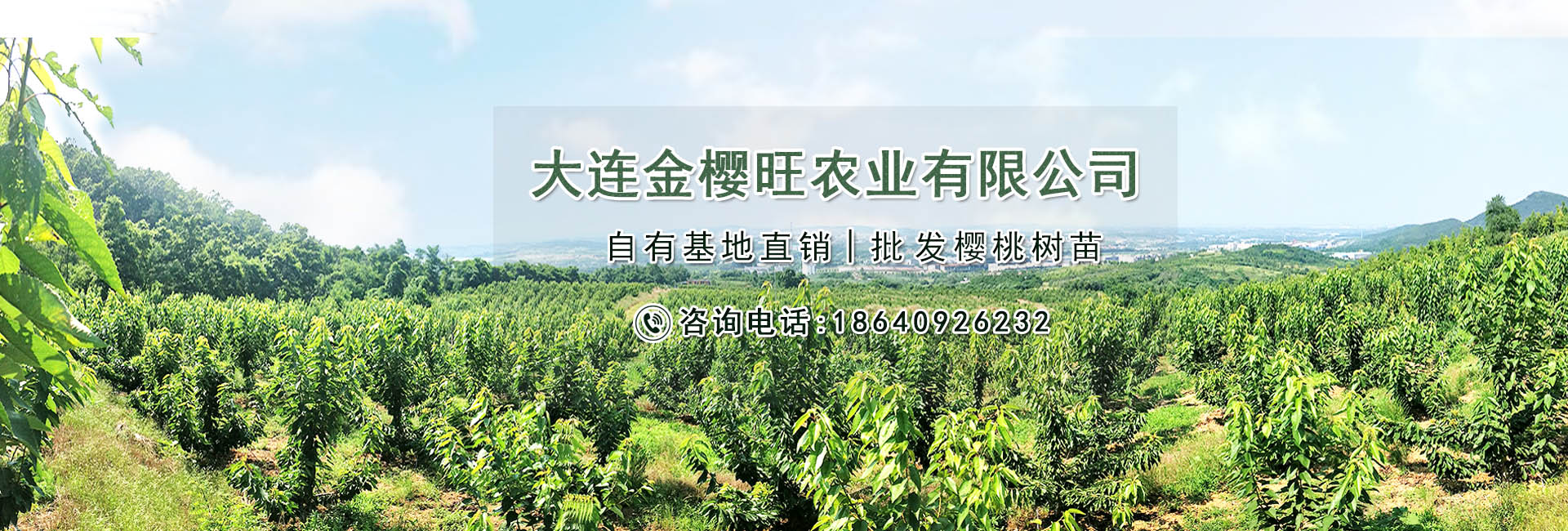 大连金樱旺农业有限公司 主营产品
