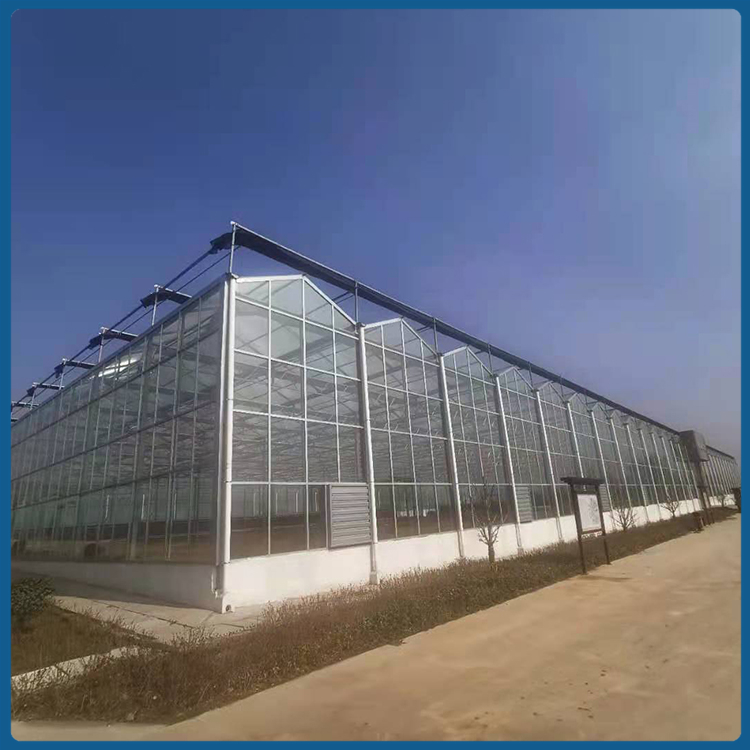 玻璃温室大棚 优良玻璃密封结构 玻璃温室设计 A字型屋脊