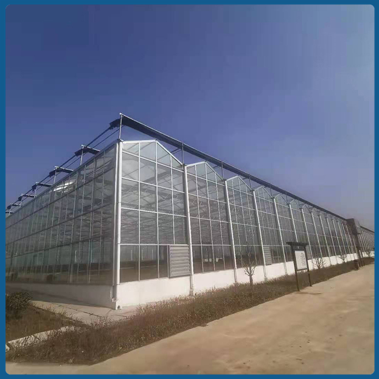 花卉温室 优良玻璃密封结构 玻璃温室承建 A字型屋脊