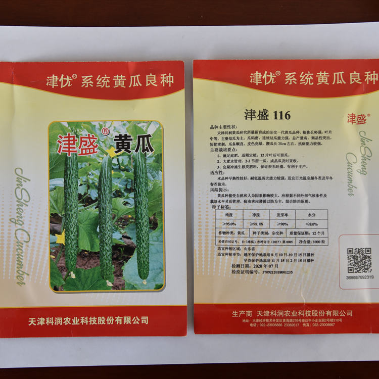 寿光农业种植越冬耐寒黄瓜种子    越冬耐寒黄瓜种子批发好价