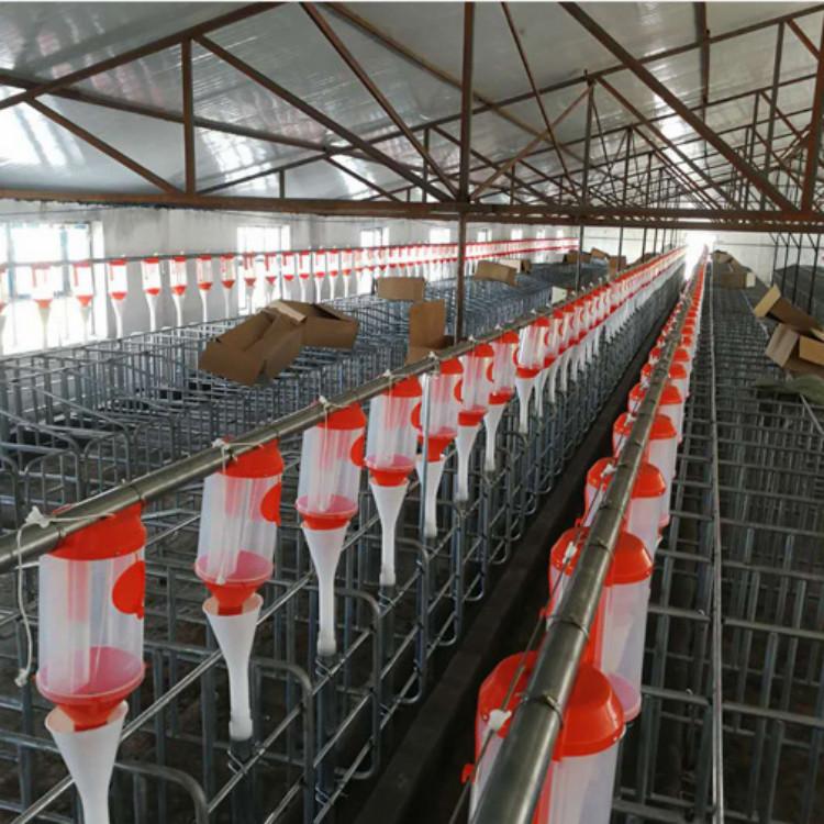 厂家定制耐酸碱养殖料线  正茂喂猪设备养猪自动料线