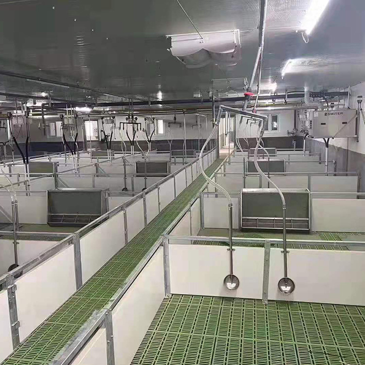 金福临生产 仔猪保育床 小猪保育床 定制全复合保育床
