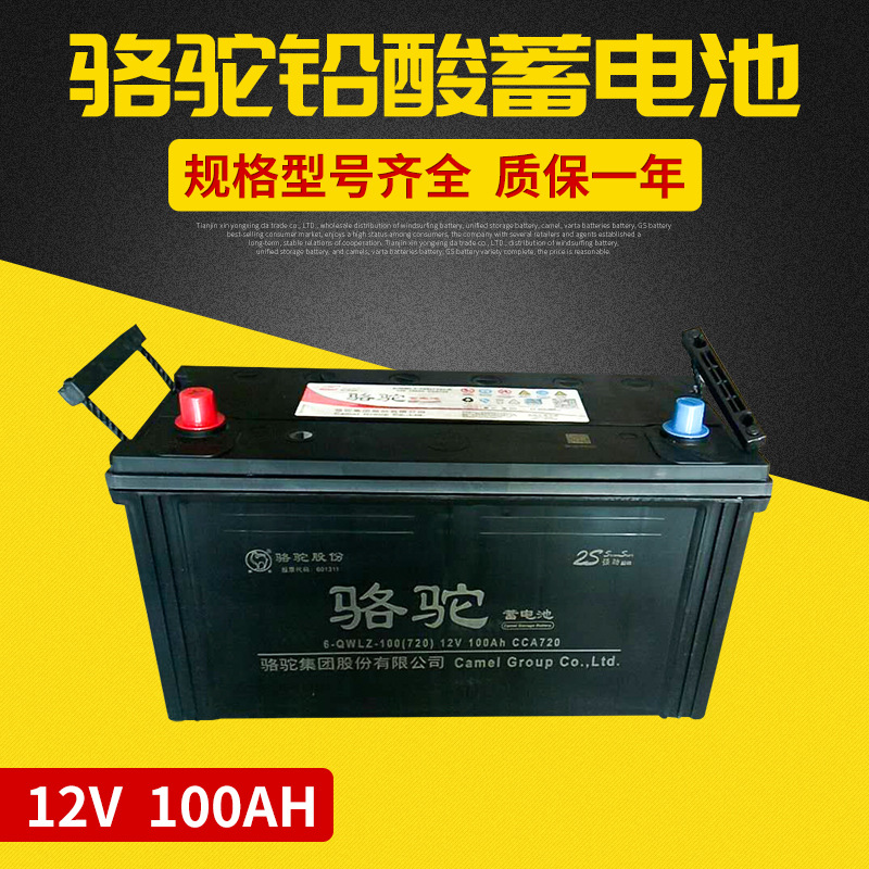 6-QWLZ-100免维护铅酸蓄电池 12v100ah蓄电池