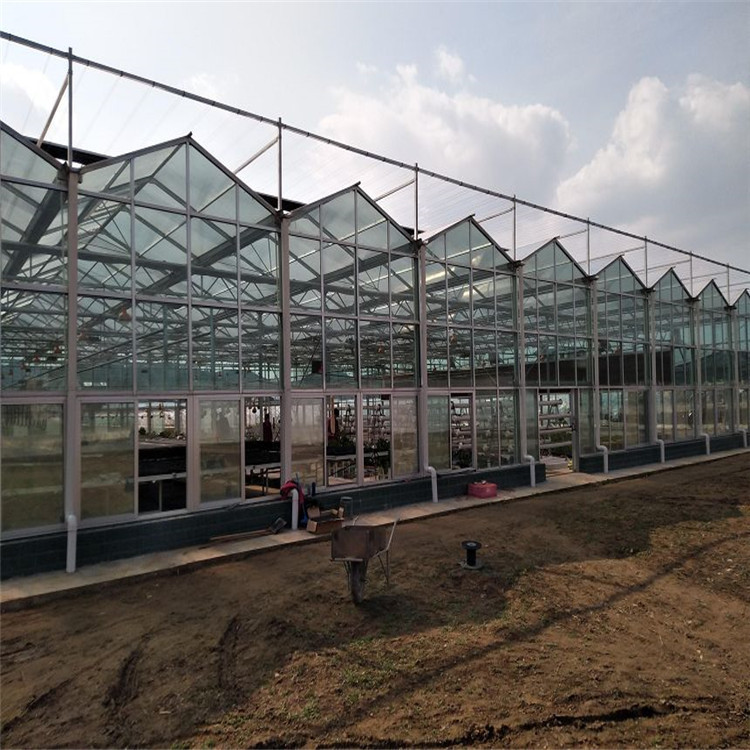 pc阳光板温室建造 山东阳光板温室公司 阳光板温室生产供应