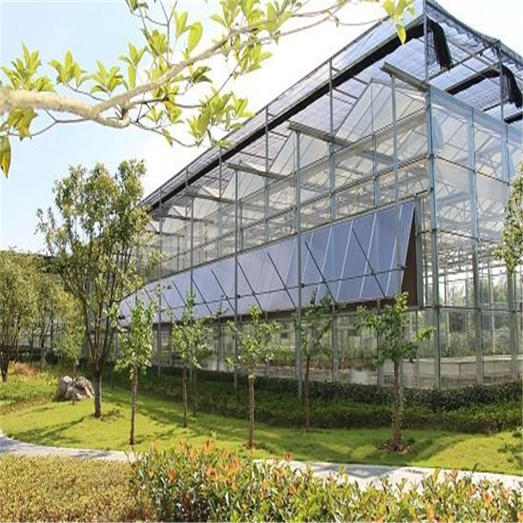 北方连栋温室公司 蔬菜连栋温室厂家 连栋温室承接承建