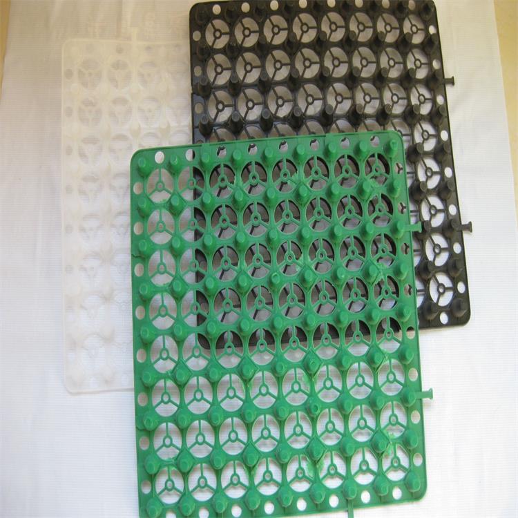 绿色20mm高车库顶板蓄排水板山东生产厂家