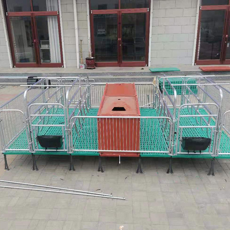 母猪产床 产保一体机床 铸铁母猪产床 全复合母猪产床 价格合理 欢迎咨询