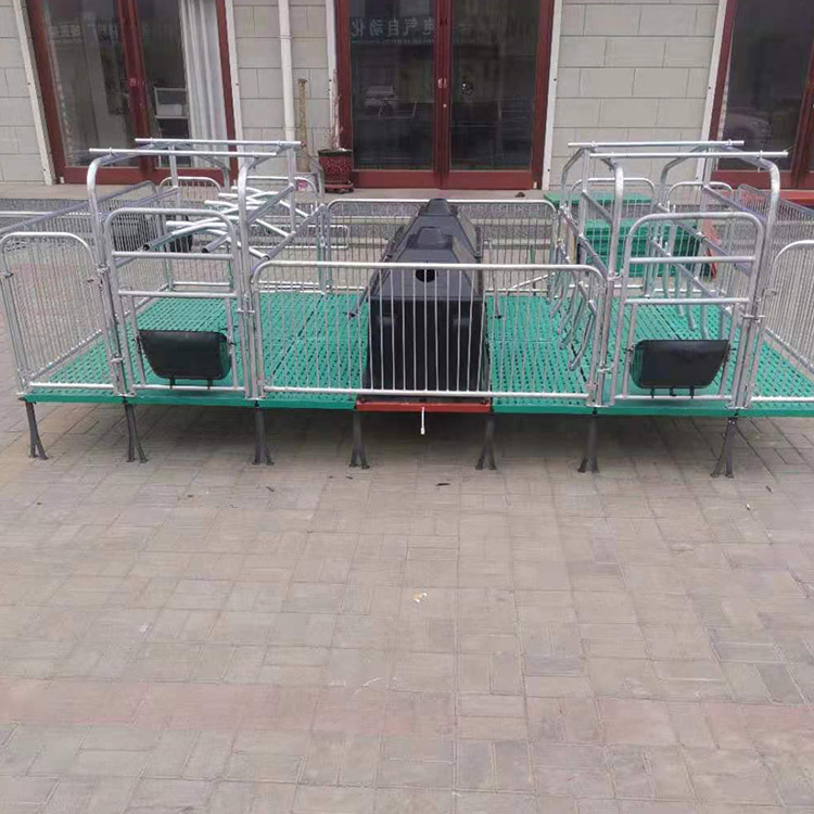 产保一体床 双体母猪产床 全复合母猪双体产床 养猪设备 价格合理 欢迎咨询