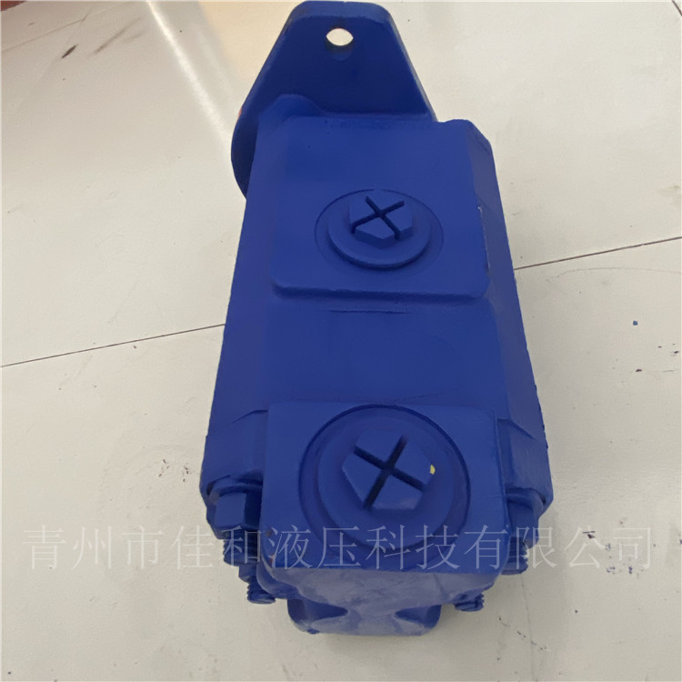 P5100-F63NJ3676/P124-G16G  装载机双联泵  佳和液压