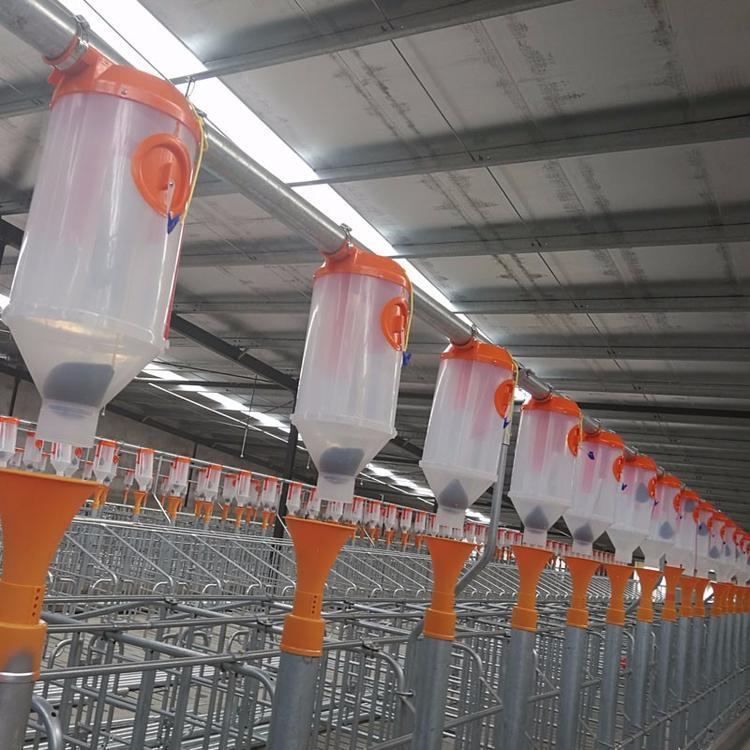 畜牧养殖设备养殖料线  正茂养殖料线养猪自动料线