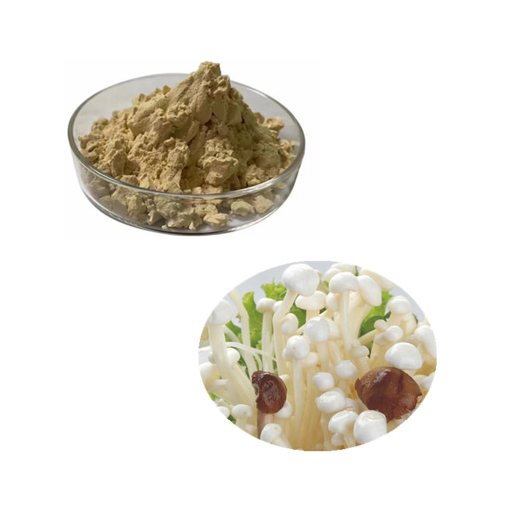 金针菇多糖 金针菇蛋白 金针菇提取物 金针菇生粉纯粉 厂家直销 