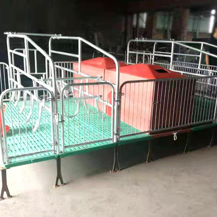产保一体产床 双体母猪产床 自动化养猪设备 型号多样