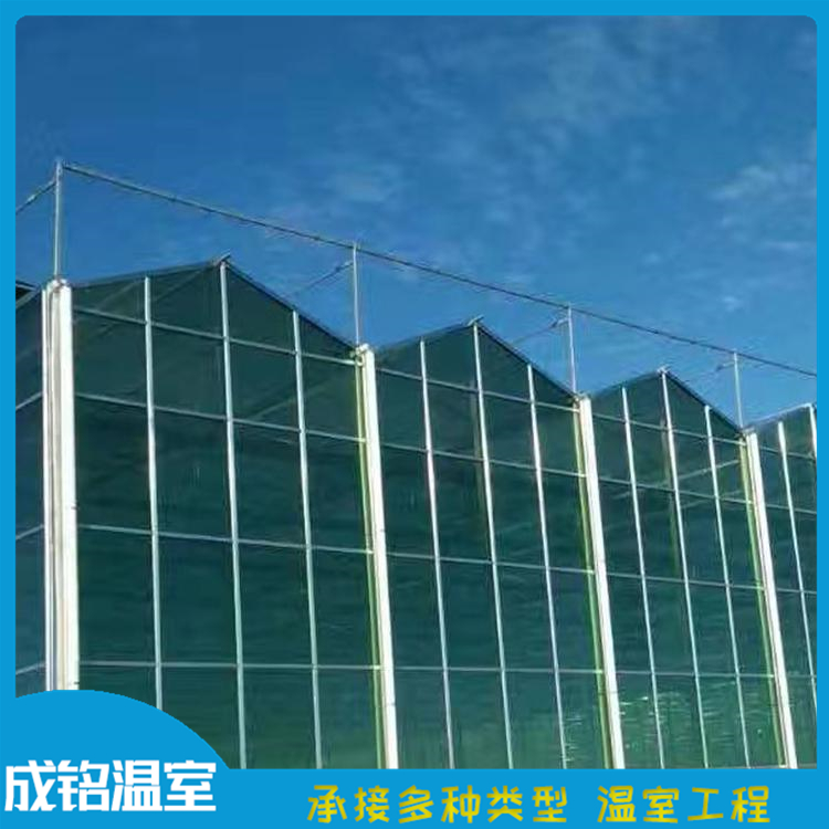 上门搭建 蔬菜大棚 玻璃温室建设 青州蔬菜温室价格