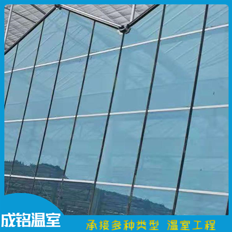 冬季暖棚 整体设计安装 寿光温室承建 玻璃温室建设