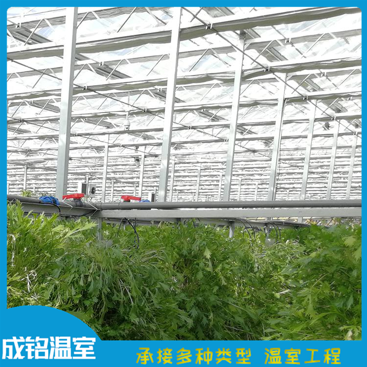 上门搭建 蔬菜大棚 玻璃温室工程报价 青州蔬菜温室价格