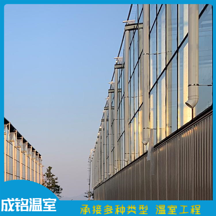 冬季暖棚 真材实料 潍坊温室建设 承接玻璃温室