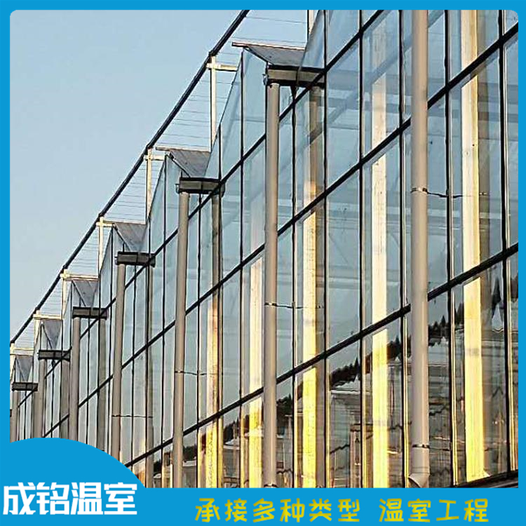 潍坊温室建设 玻璃温室承建 日光玻璃温室 整体设计安装