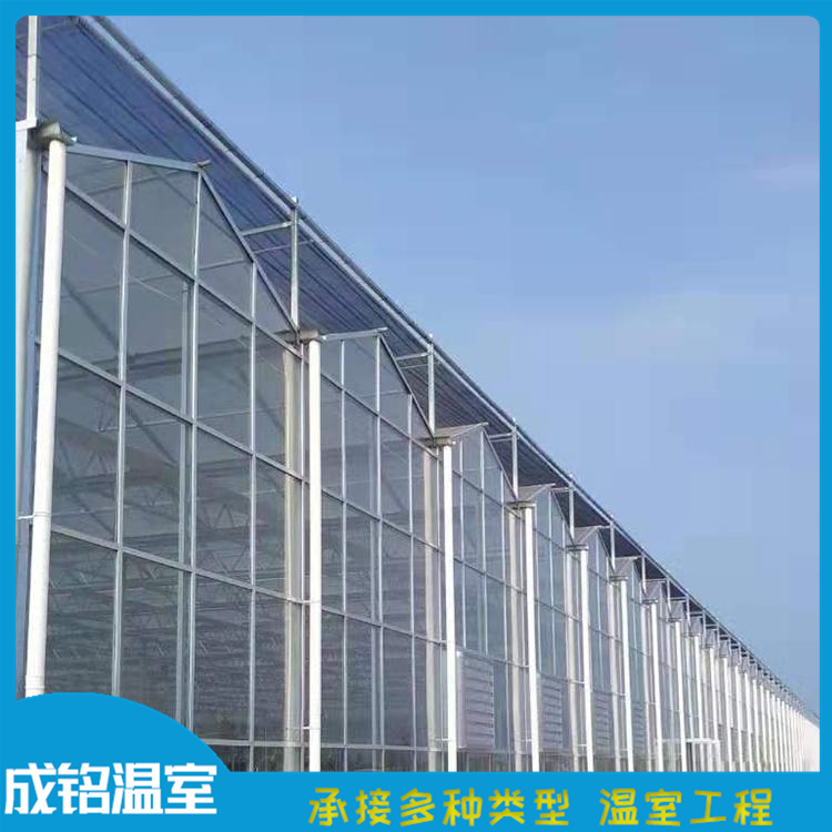 施工快捷 智能温室 玻璃温室承建 潍坊温室建设