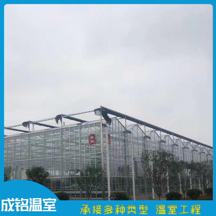整体设计安装 连栋智能玻璃温室 玻璃温室建设 青州蔬菜温室价格