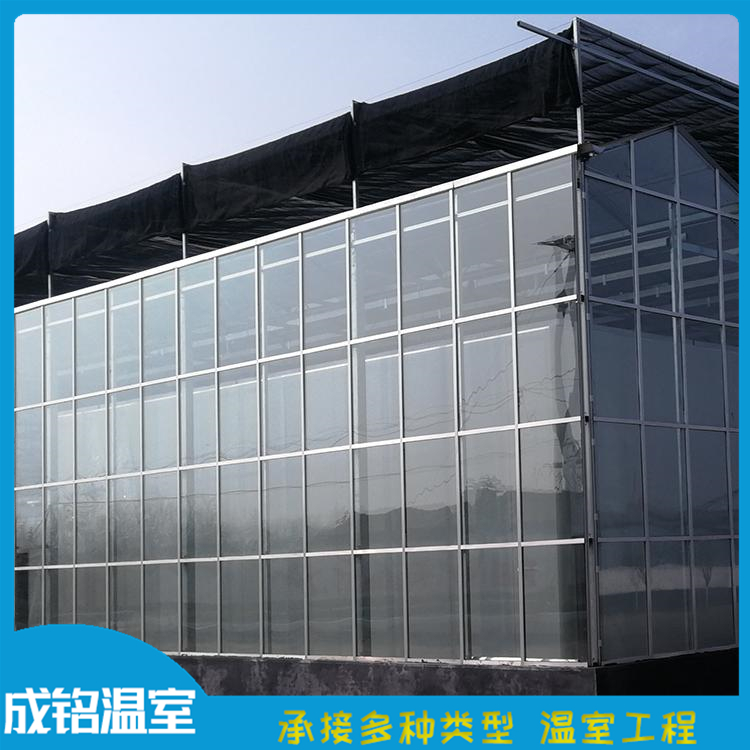 蔬菜大棚 上门搭建 山东温室工程 玻璃温室设计