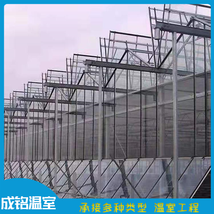 花卉育苗温室 整体设计安装 潍坊温室建设 玻璃温室建设