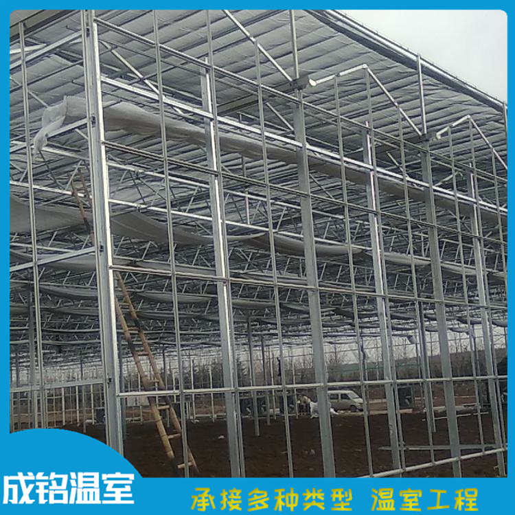 连栋智能玻璃温室 整体设计安装 寿光温室承建 玻璃温室工程报价