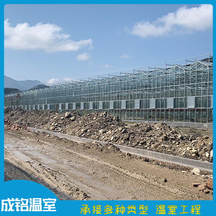 寿光温室承建 玻璃温室建设 蔬菜大棚 售后服务好
