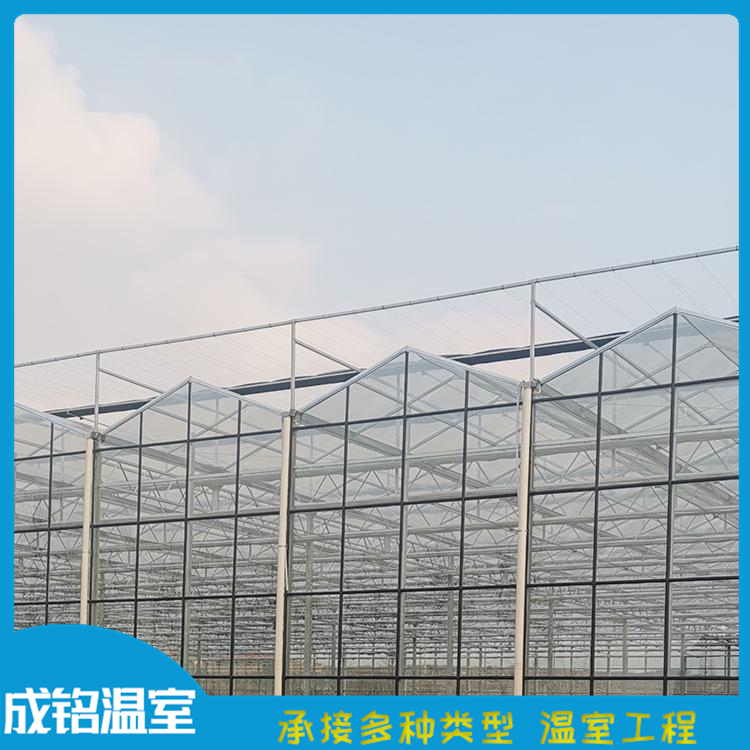连栋智能玻璃温室 成铭温室 山东温室工程 玻璃温室工程报价