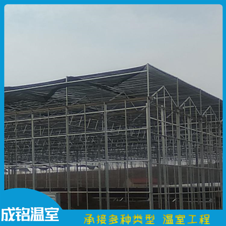 青州蔬菜温室价格 玻璃温室工程报价 智能温室大棚 售后服务好