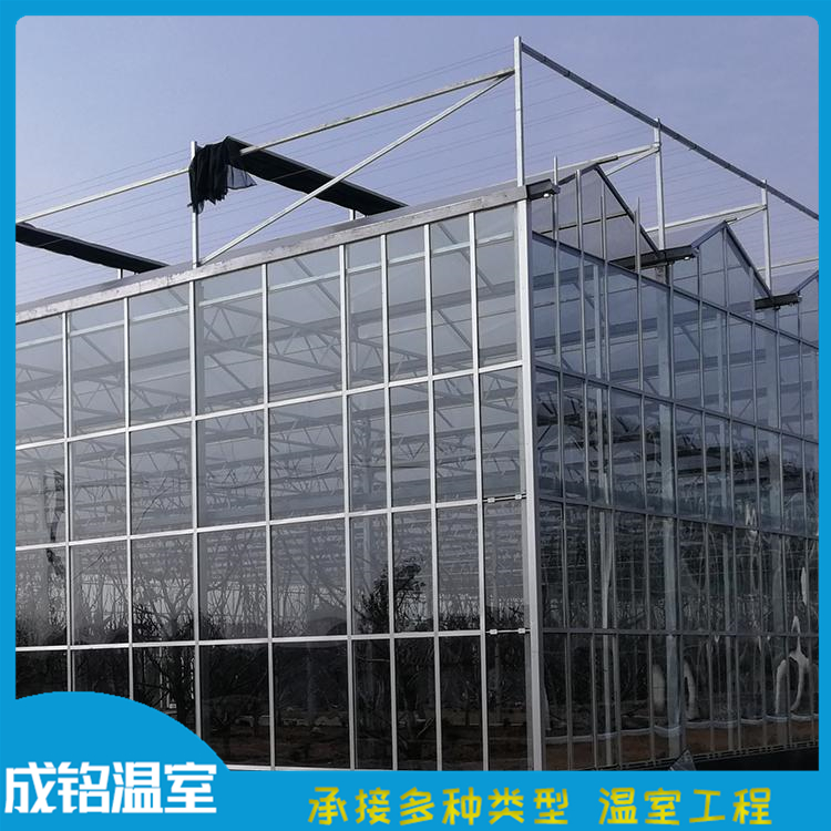 蔬菜温室大棚 施工快捷 青州蔬菜温室价格 承接玻璃温室