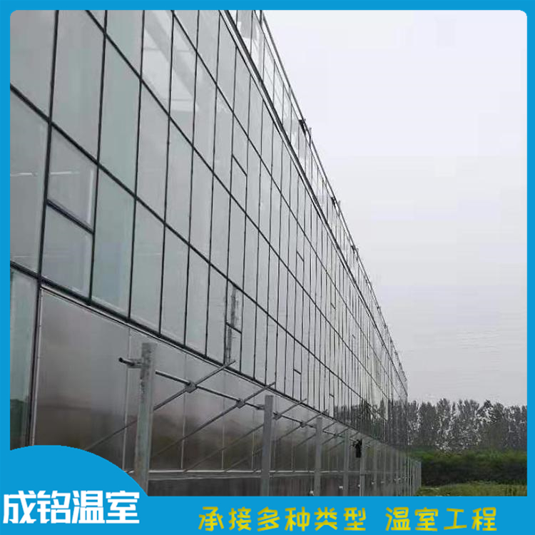 成铭温室 采摘温室 玻璃温室建设 山东温室工程