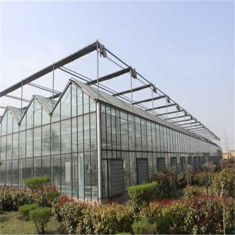 农业种植阳光板温室 承接阳光板温室工程 山东阳光板温室建造