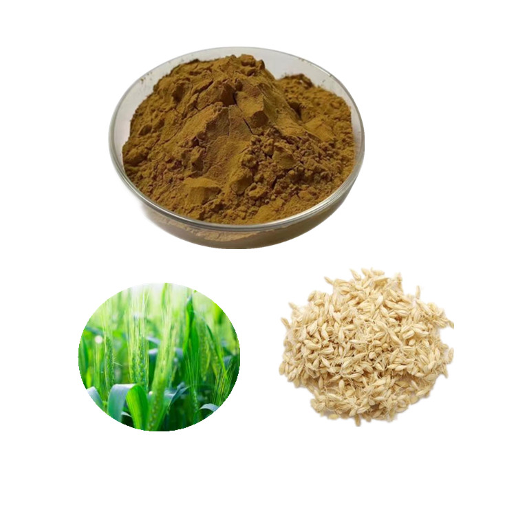 大麦芽碱盐酸盐  麦芽胡精 富硒麦芽粉 小麦粉 大麦芽粉  麦芽生粉 