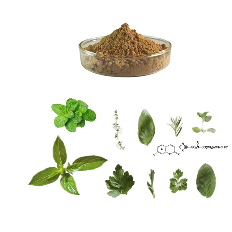 香草提取物 灵仙草提取物 薰衣草提取物 小米草提取物 香草果粉 香草生粉