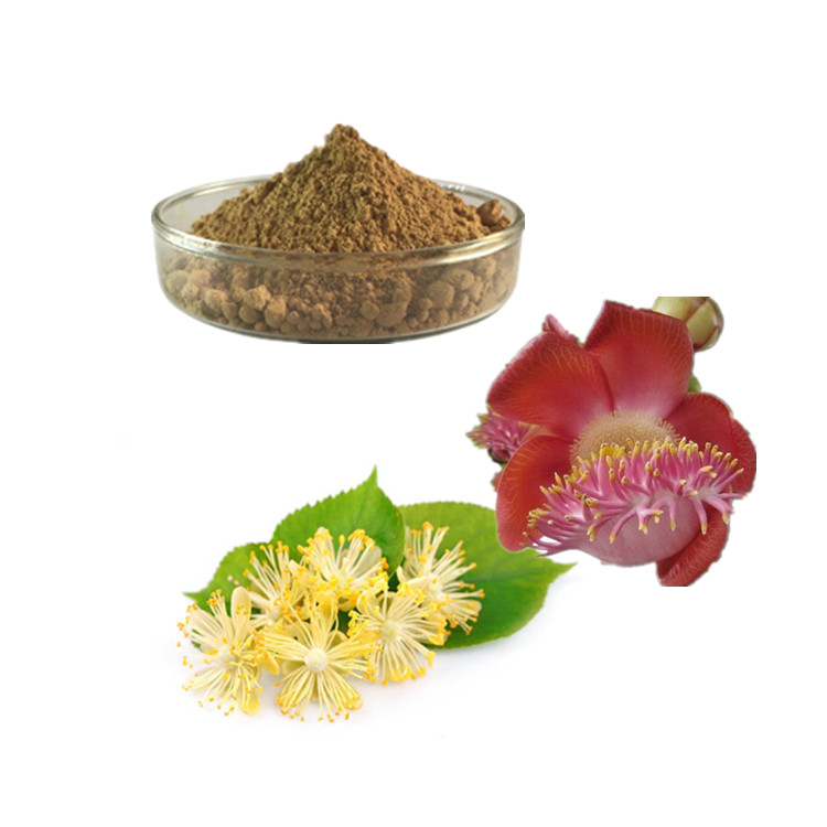 菩提花提取物  椴树花提取物 金银花椴树花提取液 菩提花粉 椴树花生粉