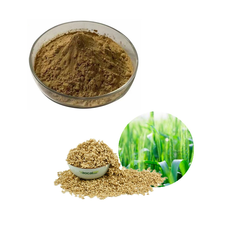 富硒麦芽粉 小麦粉 大麦芽粉 大麦芽碱盐酸盐  麦芽精粉 麦芽生粉  麦芽纯粉