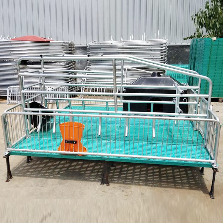生产销售 母猪产床 猪用产保一体床 现代化养猪设备 价格合理 欢迎咨询 