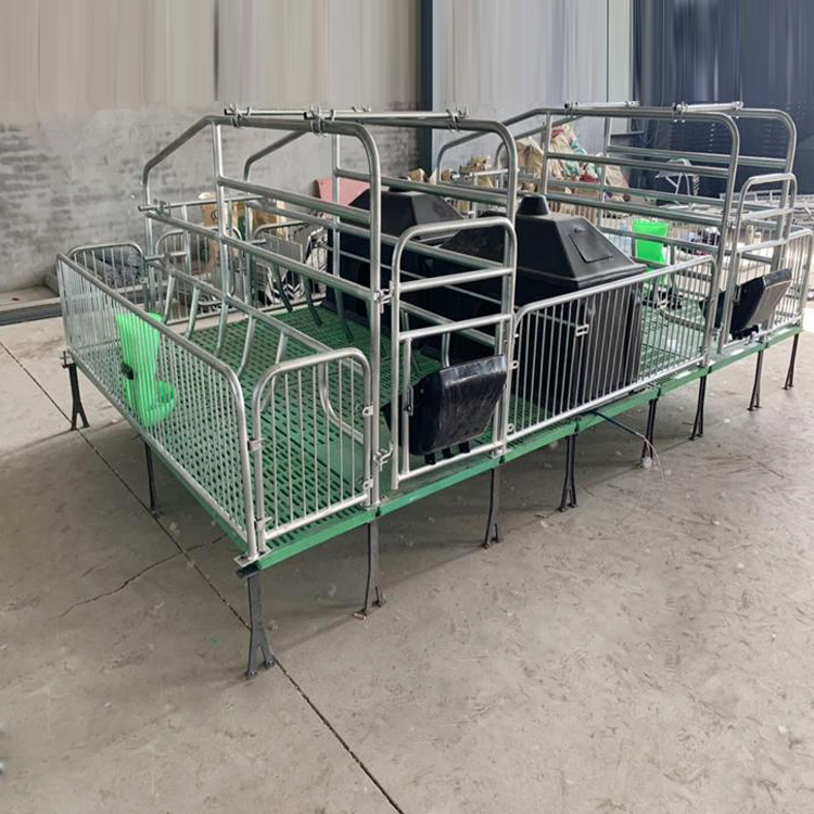 母猪产床 全复合双体产床 猪用产床保育一体 养猪设备