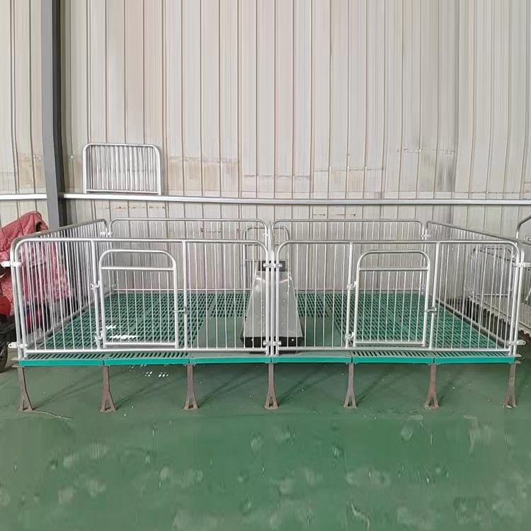 猪用复合板保育床 母猪产床保育床 加厚保育床 价格合理 诚信经营