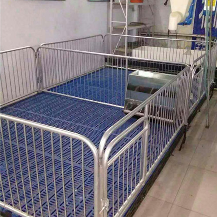 厂家加工定制 猪舍小猪保育床 养殖场用保育床 供应仔猪全复合保育床